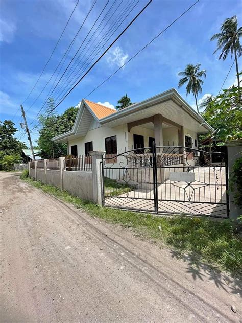 10,000+ House Lot, Property For Sale in Dumaguete City.